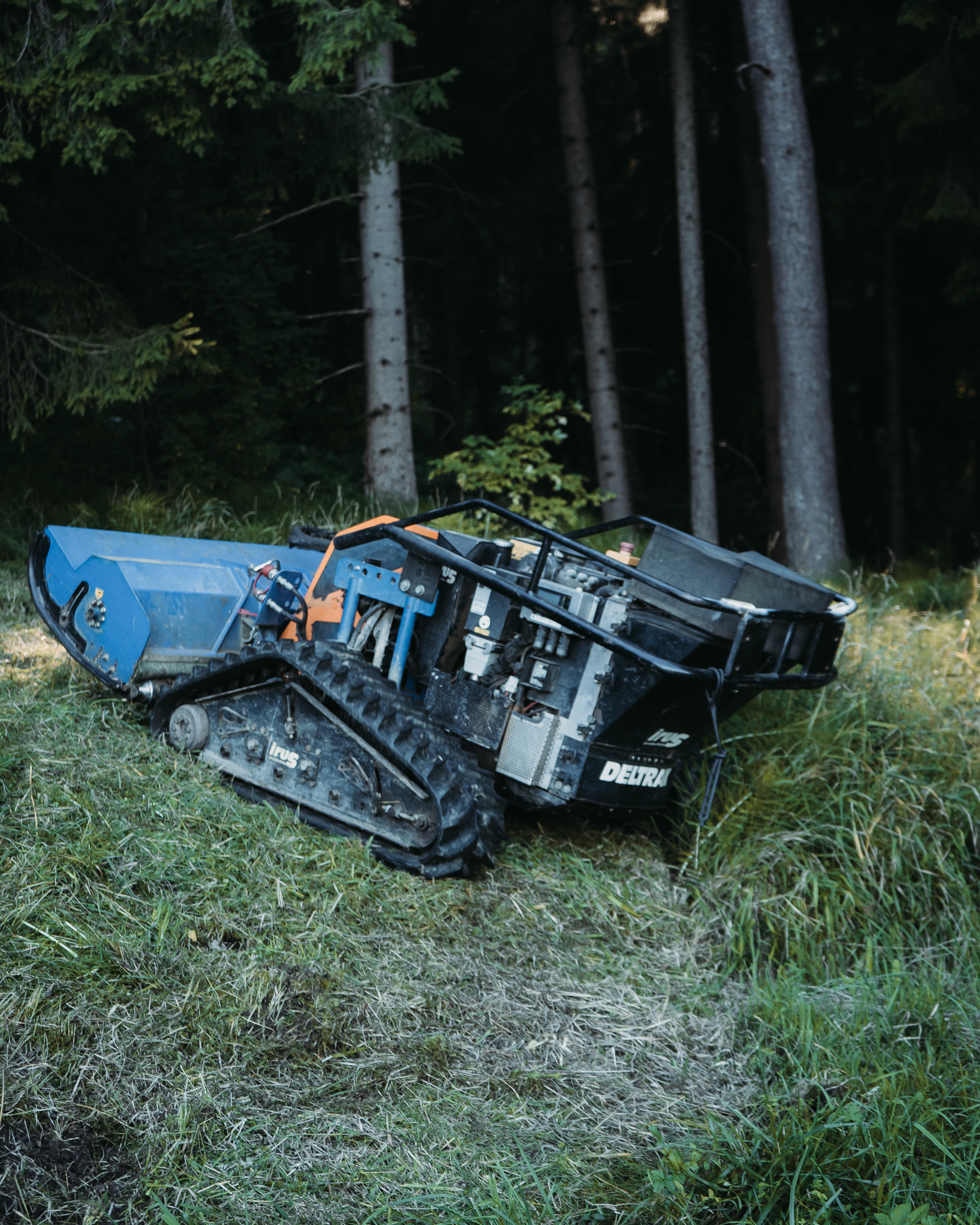 Mulchen in Albstadt und Balingen