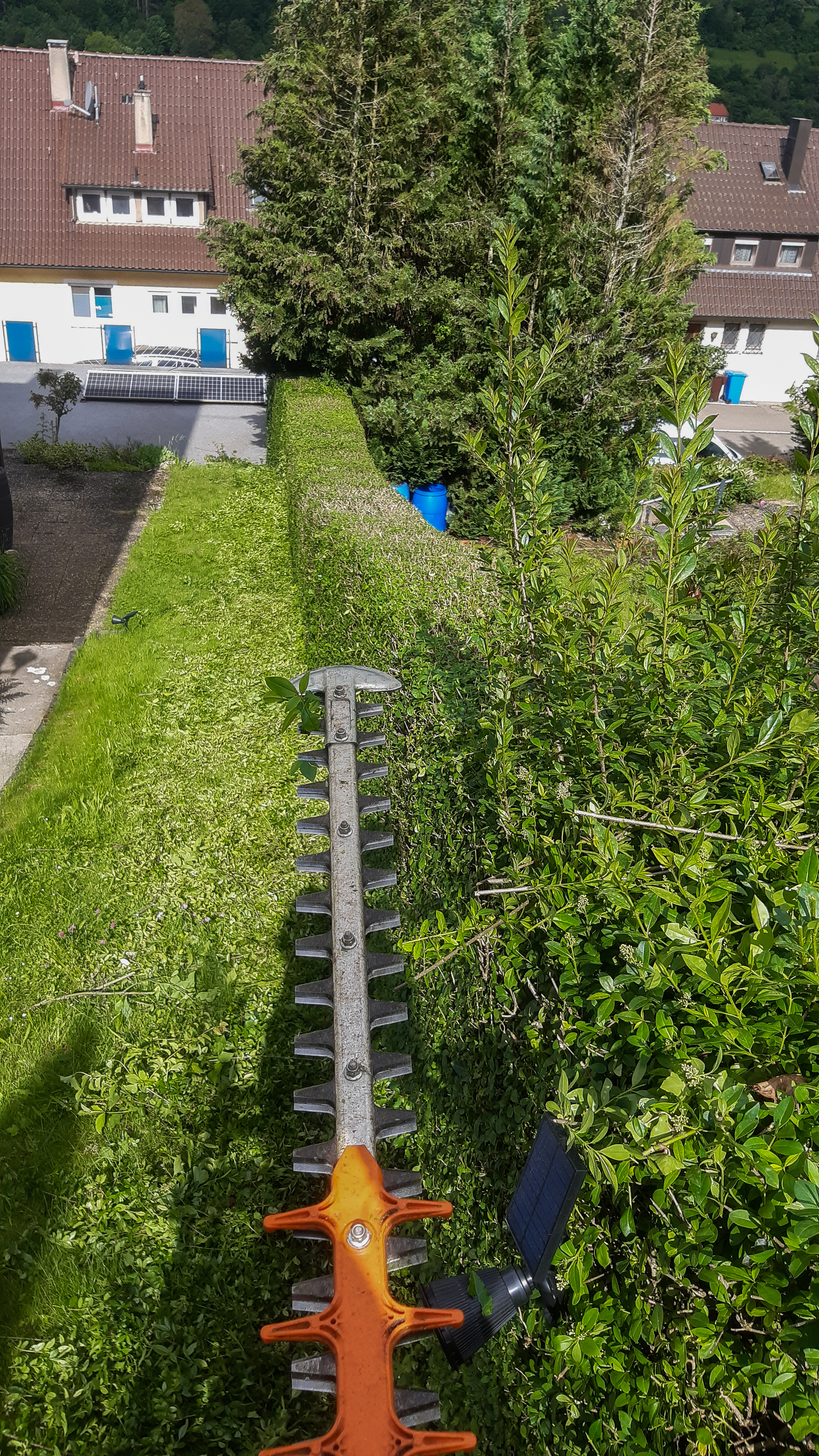 Gartenpflege in Albstadt und Balingen