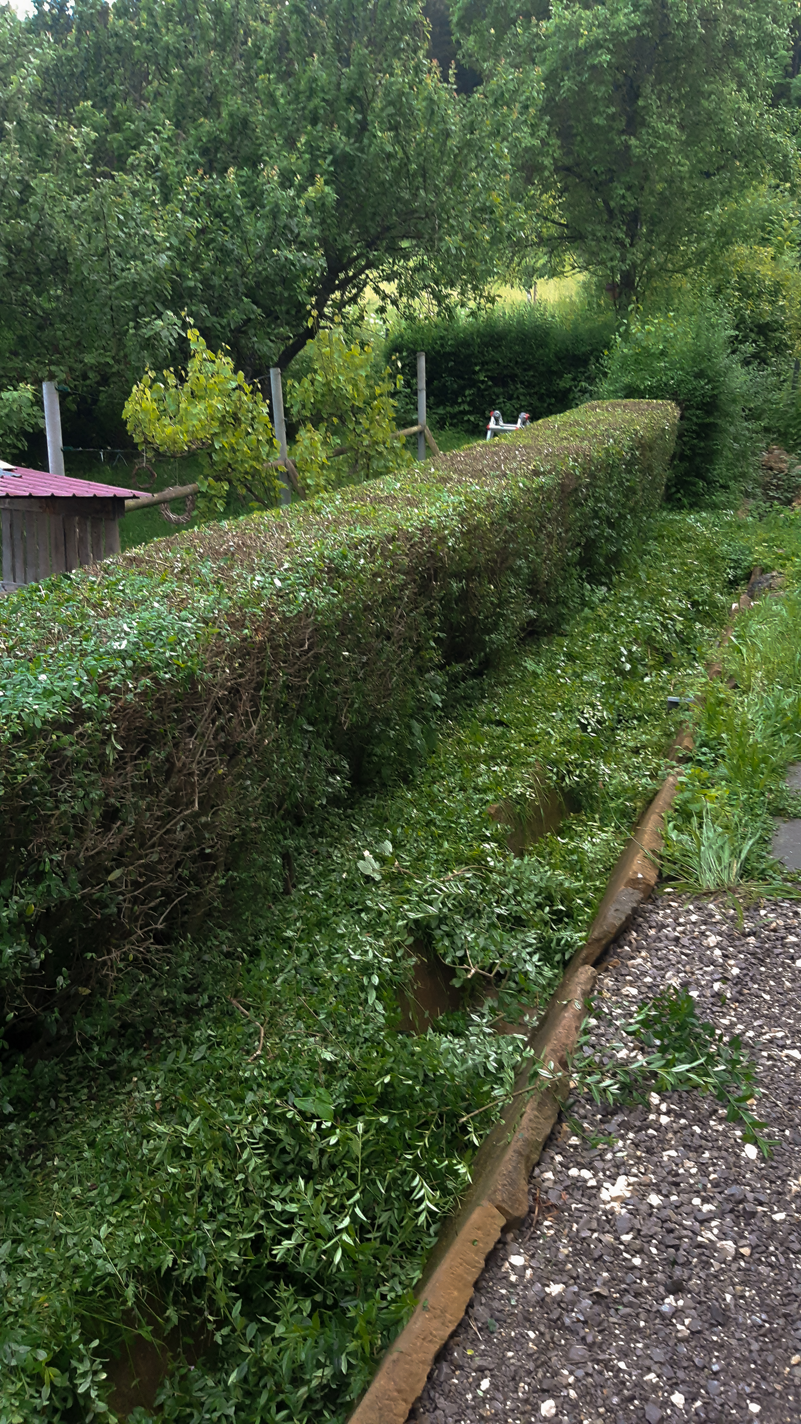 Gartenpflege in Albstadt und Balingen